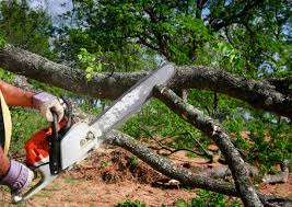 Lawn Renovation and Restoration in Lakeland Highlands, FL